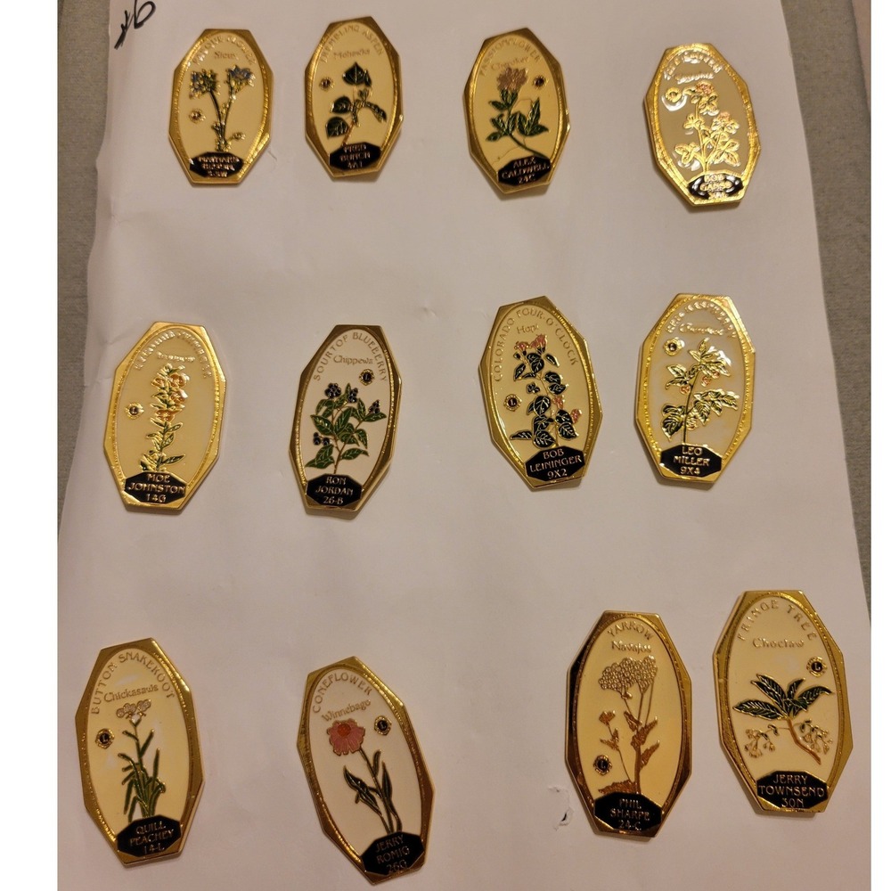 Lions Club International Native American Botanical Flower Trading Pin Lot of 11